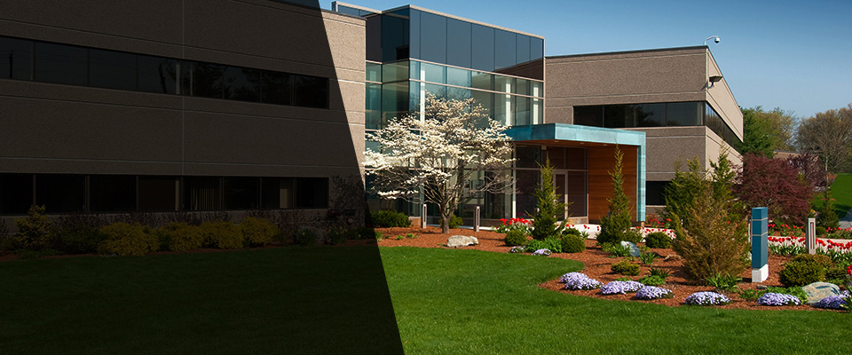 Running Springs Landscapers