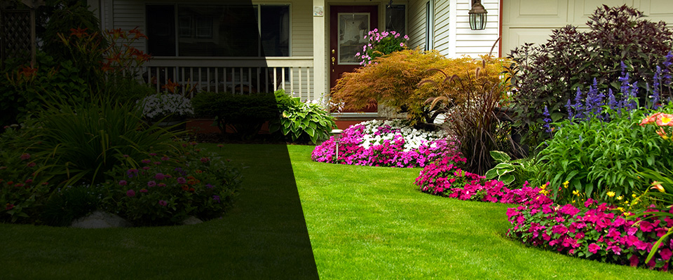 Running Springs Landscapers
