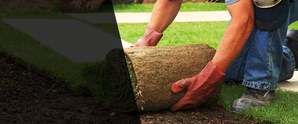 Running Springs Landscapers